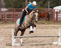 athletic-quarter-horse