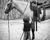 ranch-work-quarter-horse