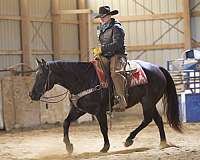 roping-quarter-horse