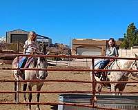 poles-azteca-horse