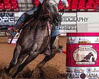 team-roping-quarter-horse