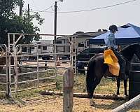 barrel-racing-quarter-pony