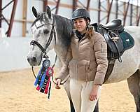 hunt-seat-equitation-quarter-horse