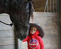 aqha-quarter-horse