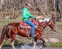 loves-to-trail-ride-paint-horse