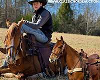 old-sorrel-tennessee-walking-horse