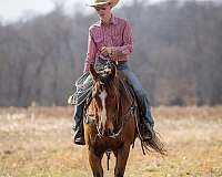 ranch-work-quarter-horse