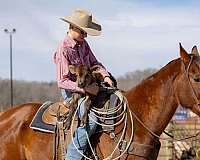 roping-quarter-horse