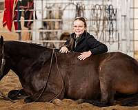 ranch-versatility-quarter-horse