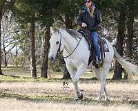 ranch-versatility-quarter-horse