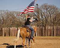 ranch-work-quarter-horse