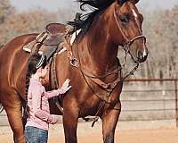 calf-roping-quarter-horse