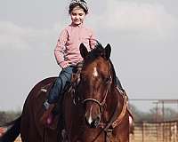 kid-safe-quarter-horse