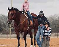 ranch-versatility-quarter-horse