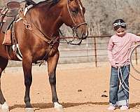 roping-quarter-horse