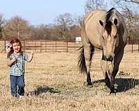 ranch-versatility-quarter-horse