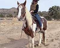 tobiano-star-horse