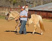 trail-pony