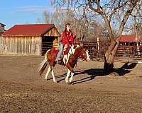 family-horse-quarter