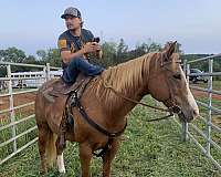 trail-riding-quarter-horse