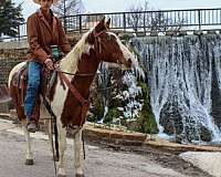 tobiano-sorrel-horse