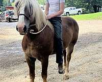 flax-draft-horse