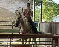 experienced-roping-palomino-horse