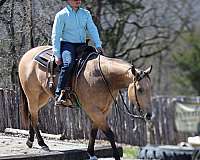 cowboy-mounted-shooting-quarter-horse