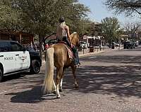 ranch-versatility-quarter-horse