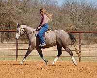 ranch-versatility-quarter-horse