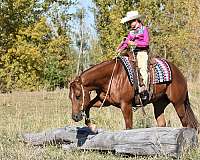 trail-riding-quarter-horse