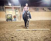 barrel-racing-quarter-horse