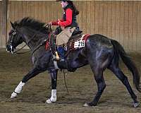 jumping-quarter-horse