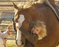 ranch-versatility-quarter-horse