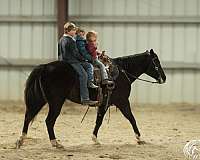 roping-quarter-horse