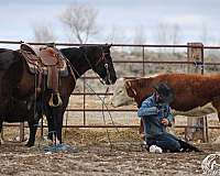 trail-riding-quarter-horse