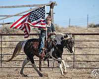 ranch-work-quarter-pony