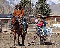 roping-quarter-horse