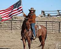 trail-riding-quarter-horse