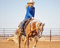 ranch-versatility-quarter-horse