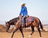 barrel-racing-quarter-horse