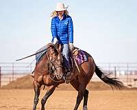 ranch-work-quarter-horse