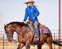 roping-quarter-horse