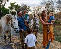 ridden-western-andalusian-pony