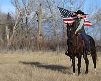 black-beginner-horse