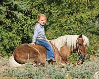 silb-beginner-kid-safe-pony