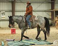 roping-quarter-horse