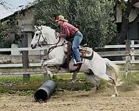 all-azteca-horse