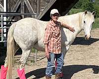 all-around-western-riding-pony