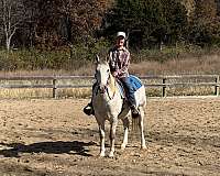 bloodlines-are-pony